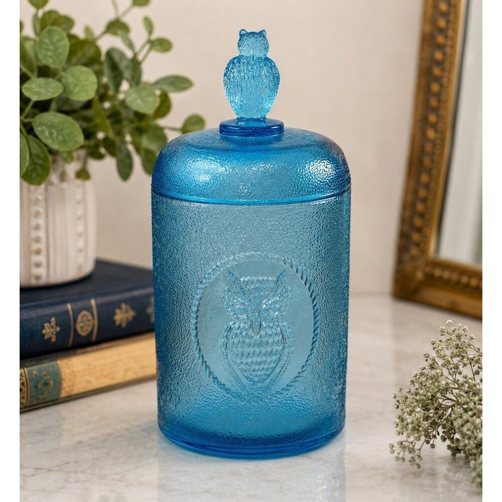 Vintage Blue Owl Textured Glass Apothecary Candy Jar Canister w/ Lid 7”